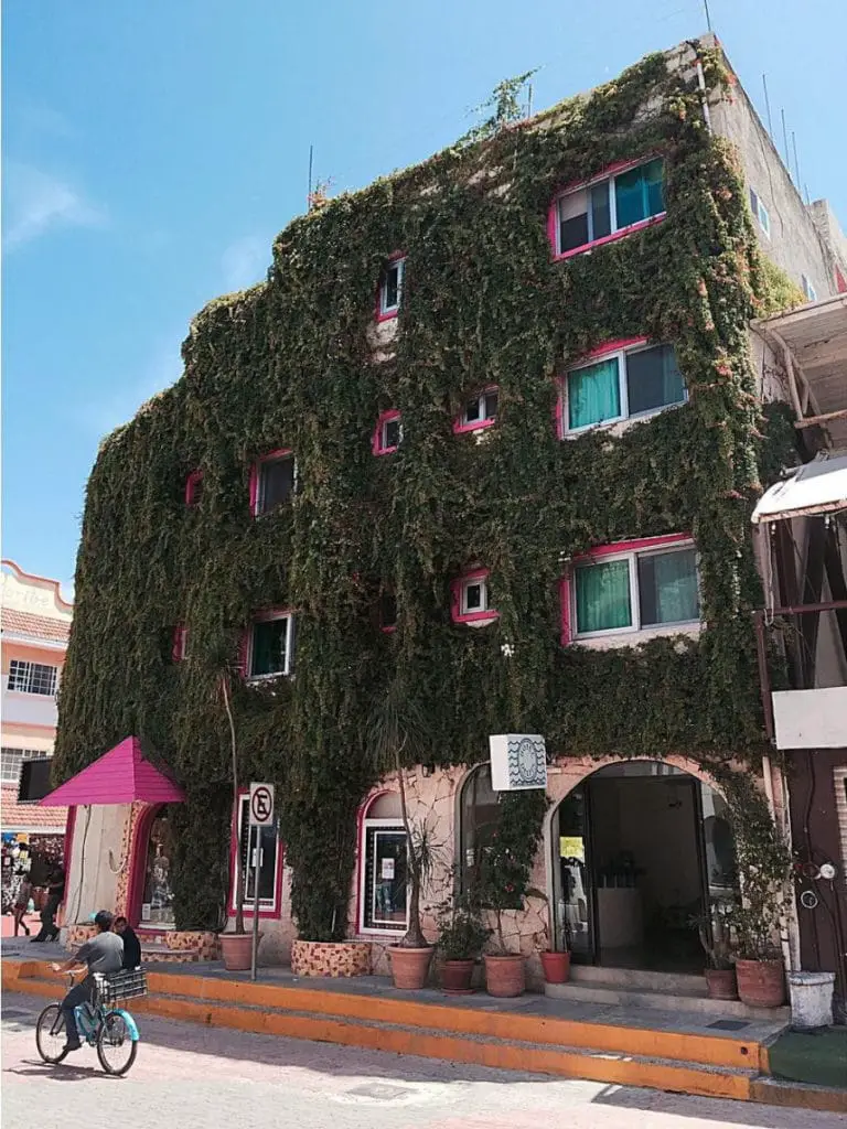 A photo of playa del carmen hotel with vertical garden on the front