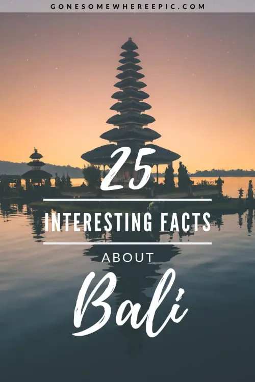 bali facts