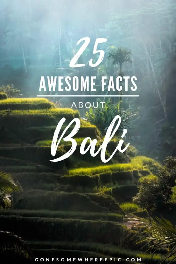 bali facts