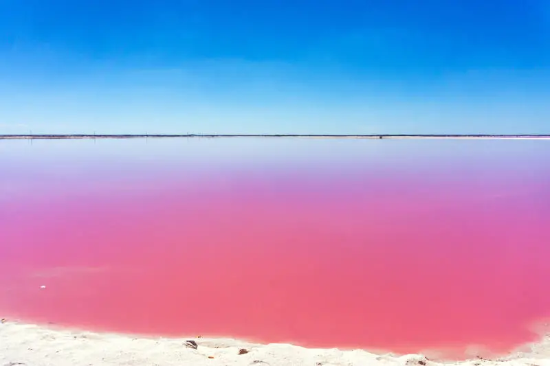 pink-lake-mexico