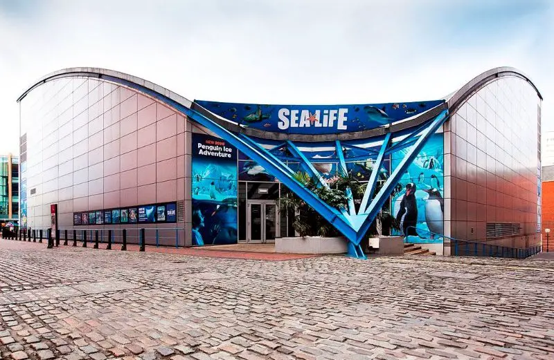the national sea life centre