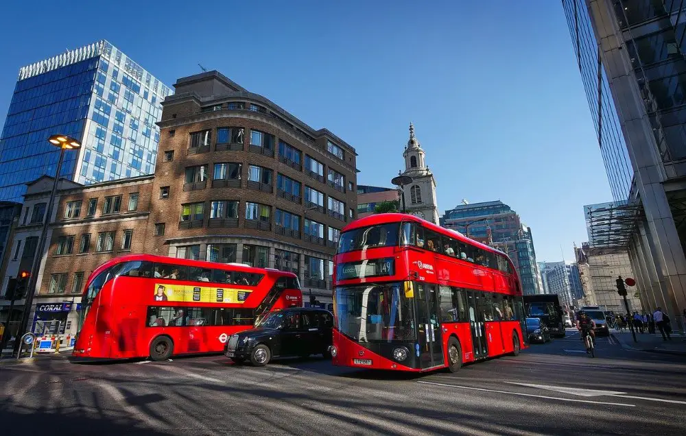 red buses