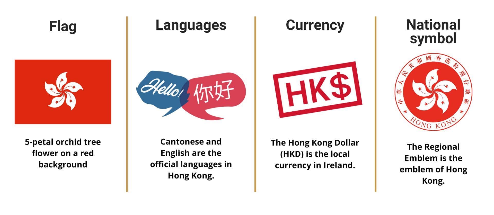 Hong Kong infographic