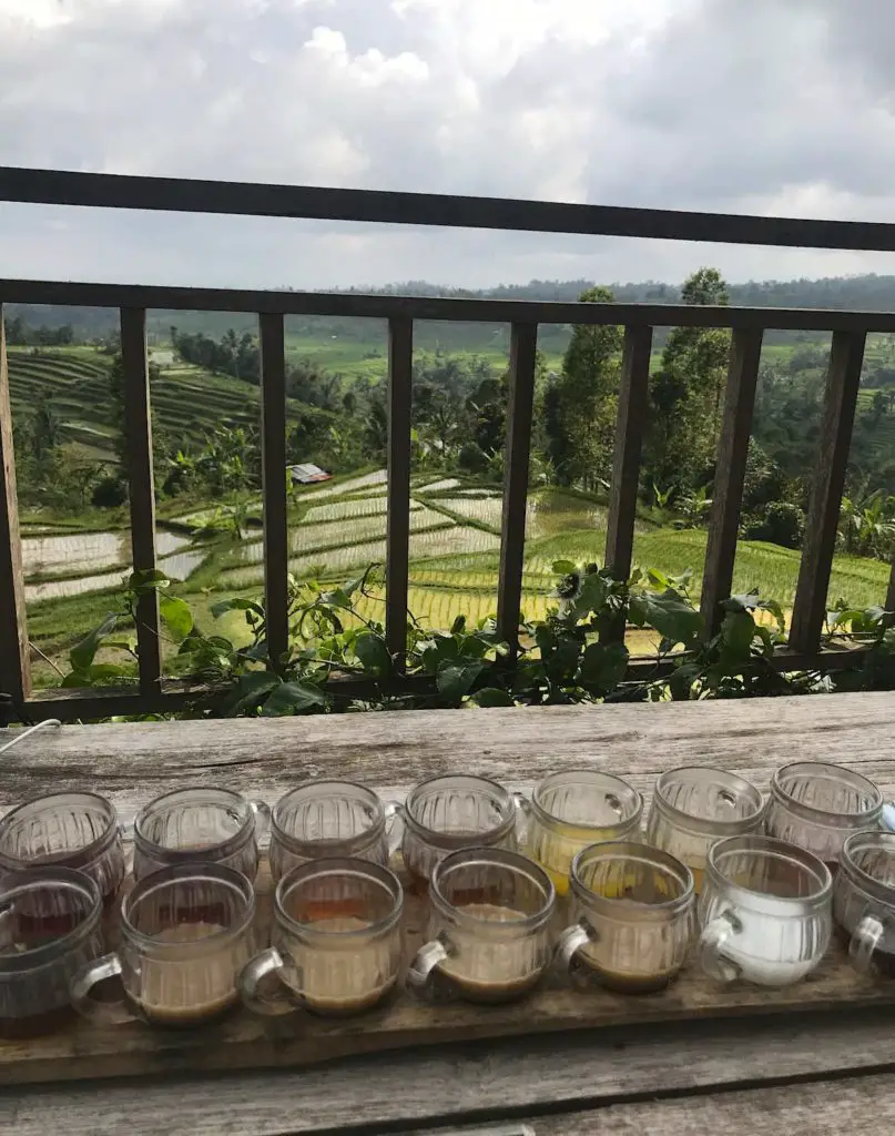 Tea Tasting Bali