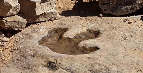 dinosaur-footprint