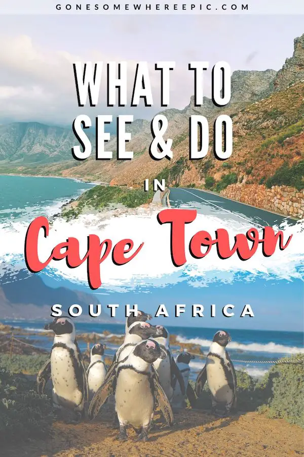 18 Best Things to Do in Cape Town 2