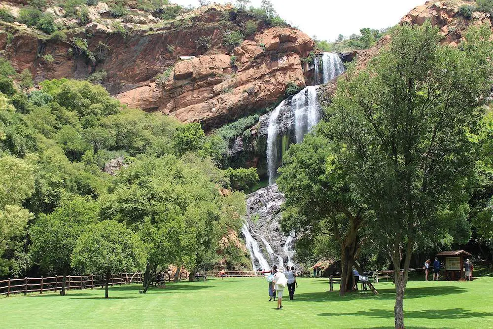 Walter_Sisulu_Botanical_Garden