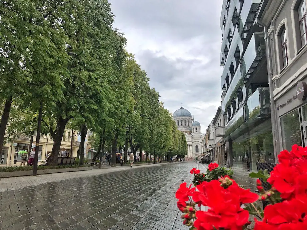 avenue-of-freedom-kaunas