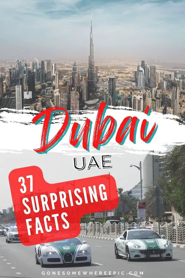 dubai-facts-pin-1