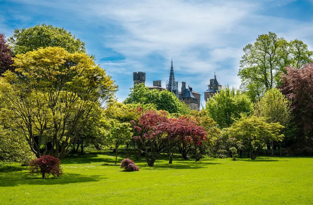 bute park lawns in cardiff city
