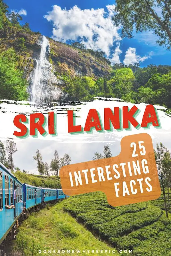 25 Fun Facts About Sri Lanka (2023 Edition) 1