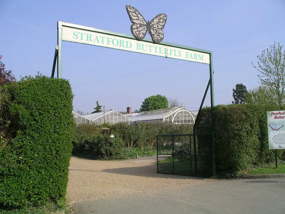 Stratford_butterfly_farm