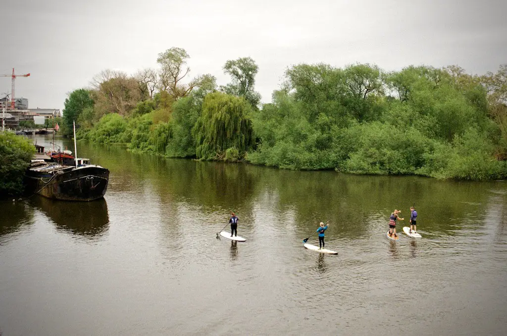 a view of four people paddleboarding on the river severn with woodland in the distance