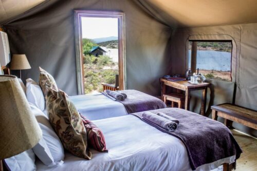 Ultimate Glamping in Cape Town and Western Cape, South Africa: My favorite Areas and Hotels 2024 18