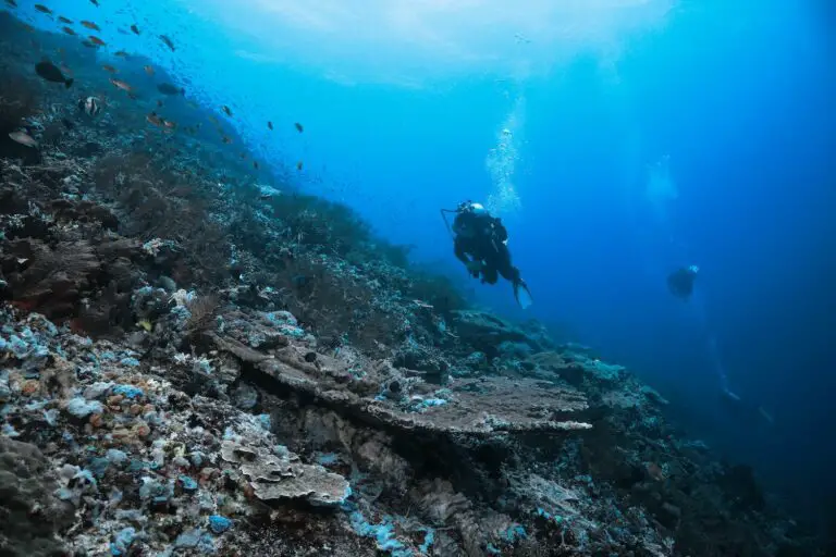 Malta Scuba Diving: A Guide to Dive Sites in Malta, Gozo and Comino