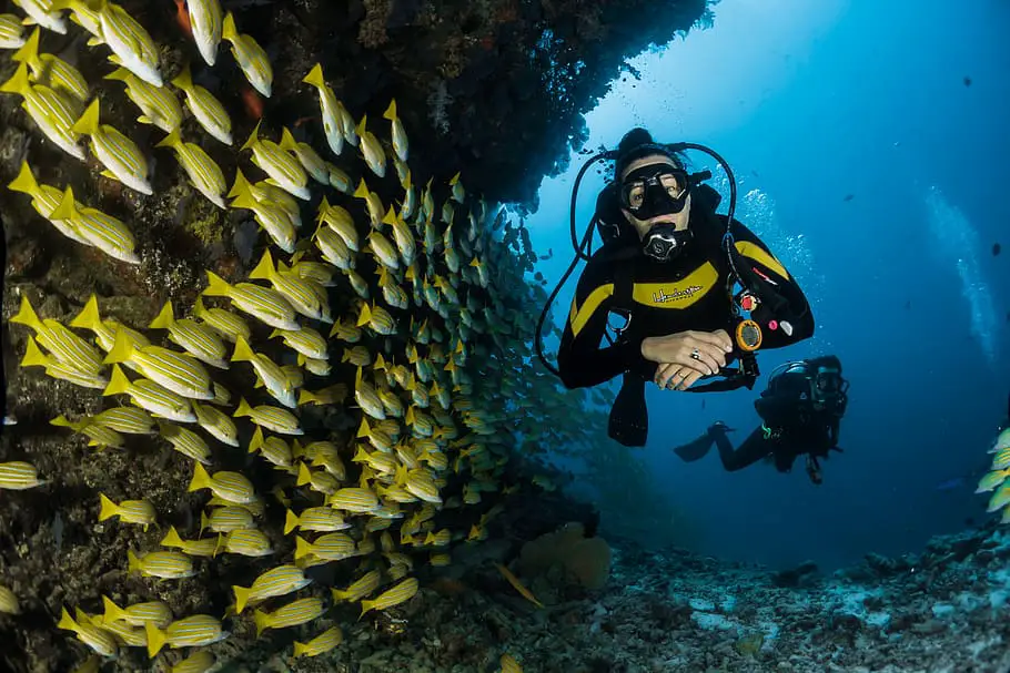 Malta Scuba Diving: A Guide to Dive Sites in Malta, Gozo and Comino 4