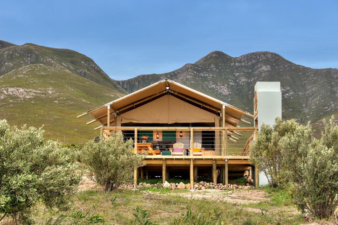 Ultimate Glamping in Cape Town and Western Cape, South Africa: 14 Best Luxury & Affordable Sites 31