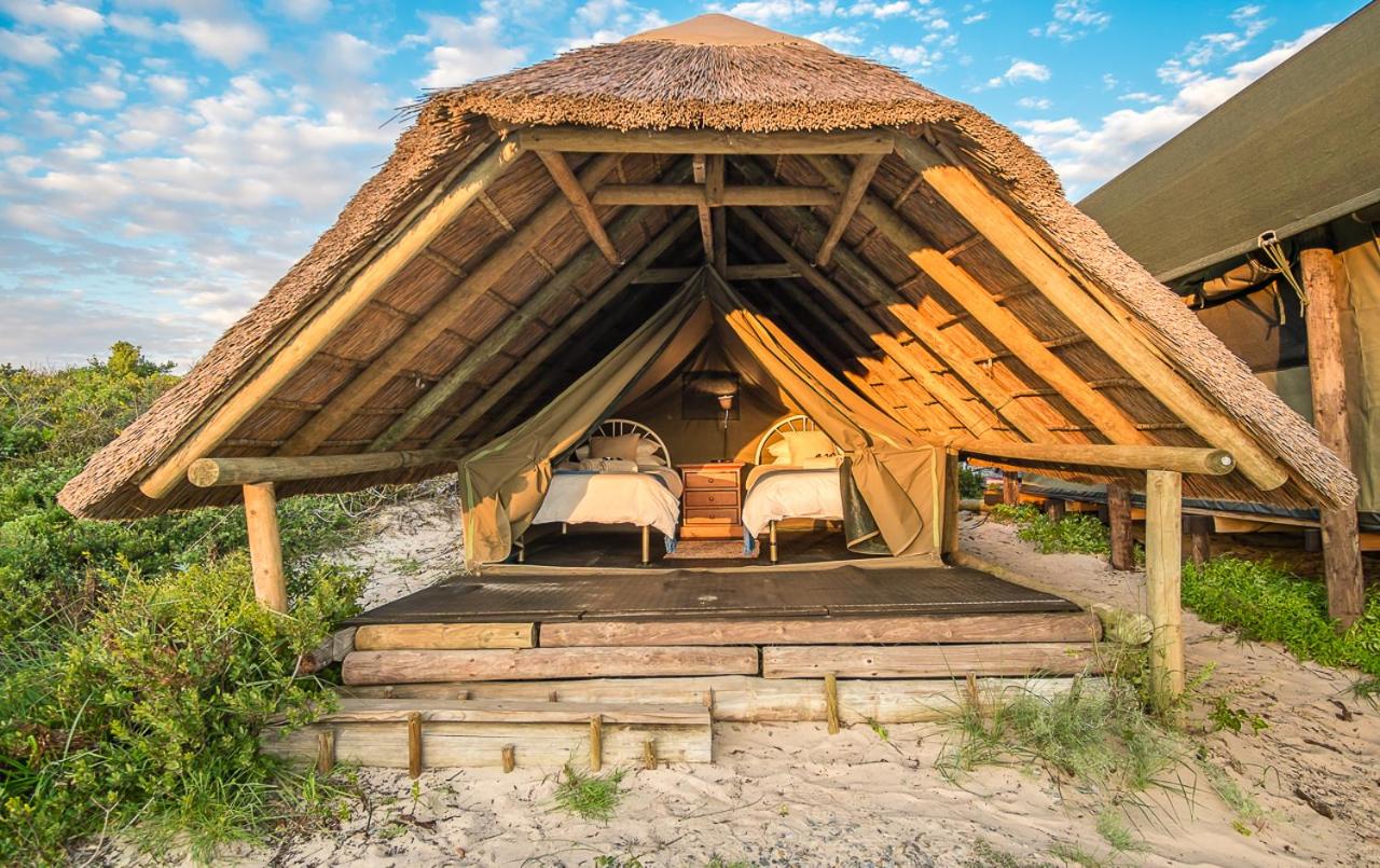 Ultimate Glamping in Cape Town and Western Cape, South Africa: 14 Best Luxury & Affordable Sites 27