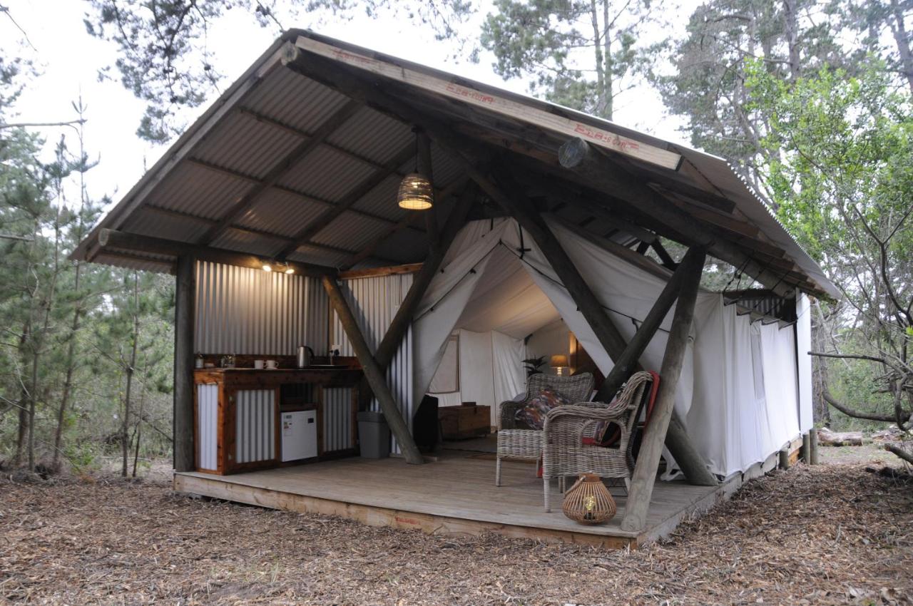 Ultimate Glamping in Cape Town and Western Cape, South Africa: 14 Best Luxury & Affordable Sites 49