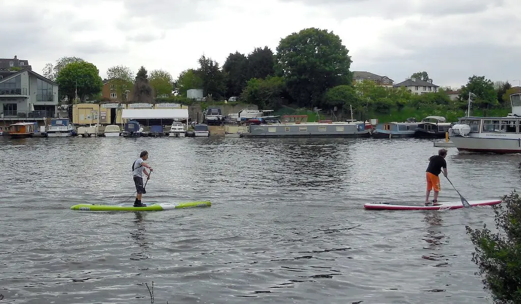 two stand up paddle boarders paddling on the river thames, england