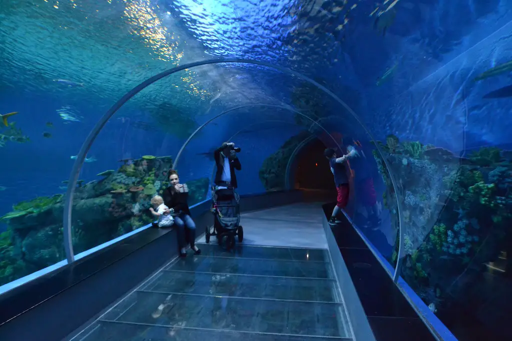 best aquariums in uk