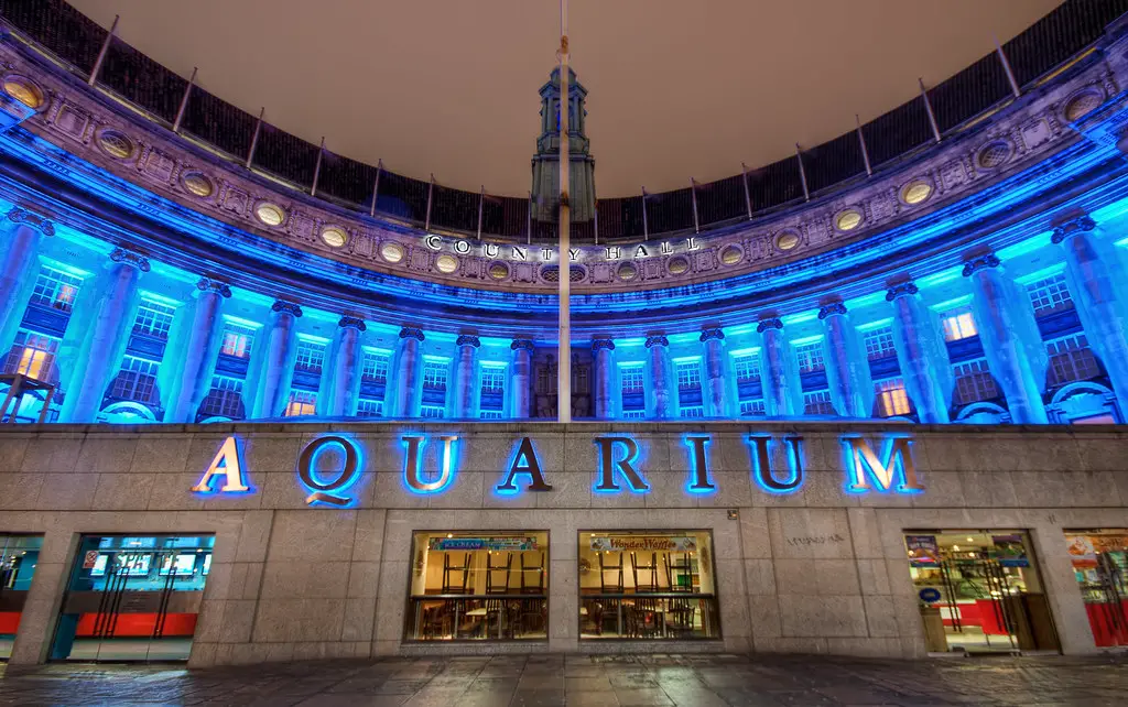 Best Aquariums Near Me in the UK (+ Biggest Aquarium) 8 Best Aquariums Near Me in the UK (+ Biggest Aquarium) 5