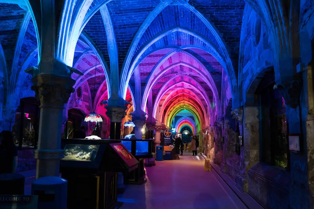 Best Aquariums Near Me in the UK (+ Biggest Aquarium) 10 Best Aquariums Near Me in the UK (+ Biggest Aquarium) 7
