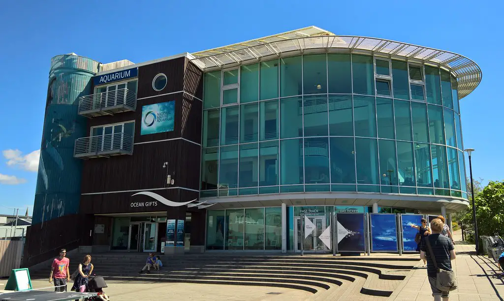 Best Aquariums Near Me in the UK (+ Biggest Aquarium) 4 Best Aquariums Near Me in the UK (+ Biggest Aquarium) 2