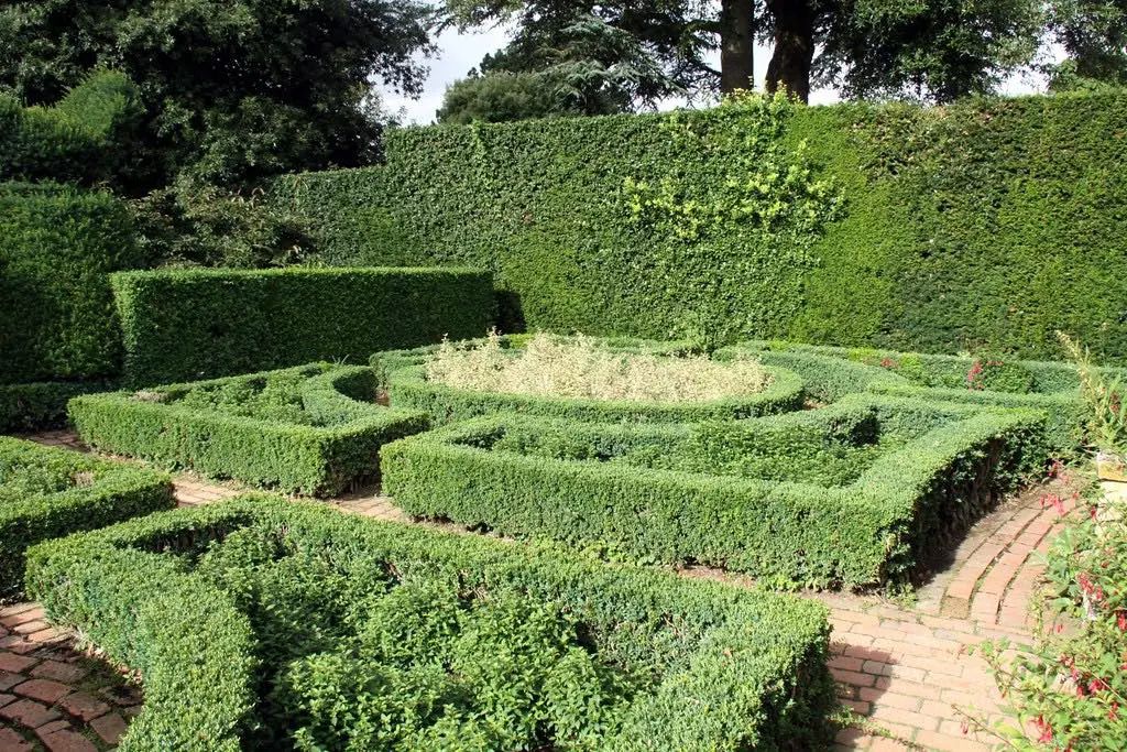view of arley arboretum maze with lots of shrubbery and plants around the hedge maze