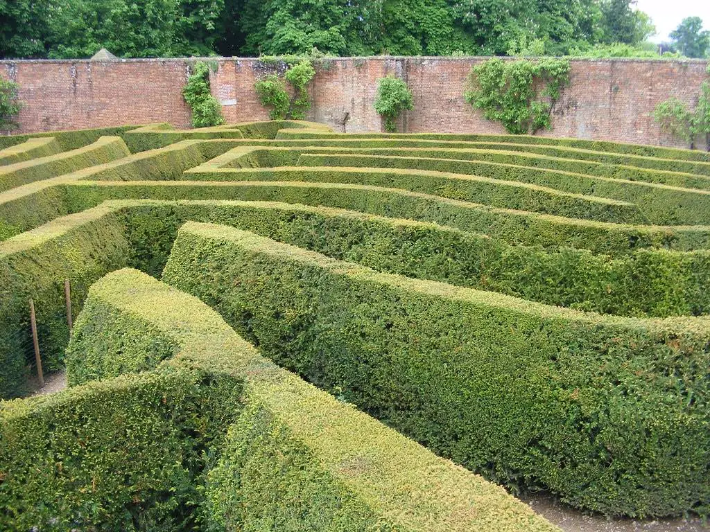 view atop the conkers labyrinth maze in derbyshire