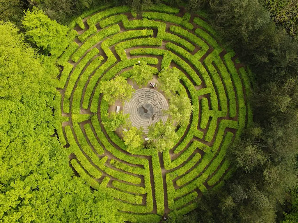 an aerial view of the Crystal Palace Park Maze