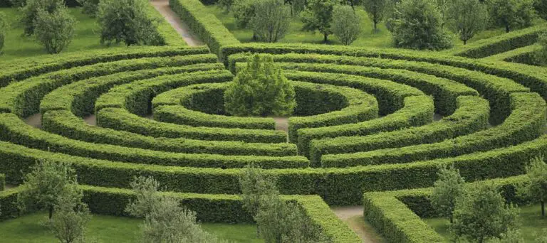 12 Best Mazes Near Me in London UK (a Local’s Guide)