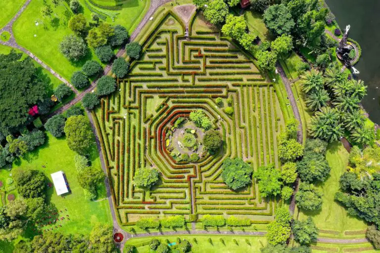 13 Best Mazes Near Me in the West Midlands (A Local’s Guide)