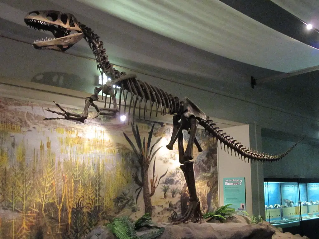 This picture: A dinosaur skeletons statue inside the museum.