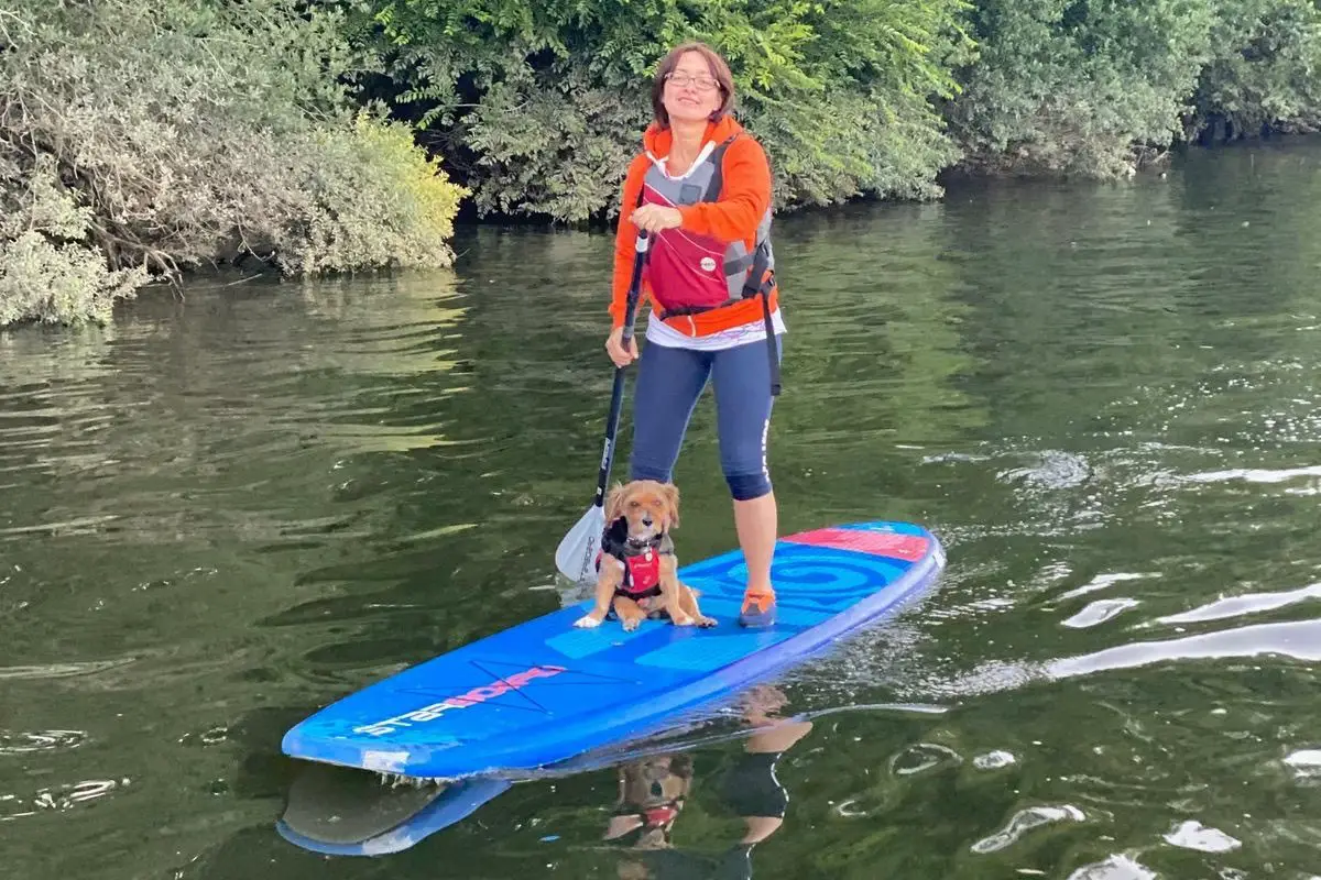 a woman and her dog on a paddleboard paddling on a river in london